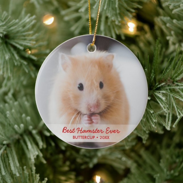 Ornamento De Cerâmica Natal de Pet de Hamster Personalizado (Árvore)