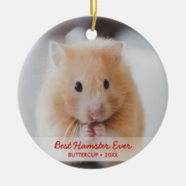 Ornamento De Cerâmica Natal de Pet de Hamster Personalizado