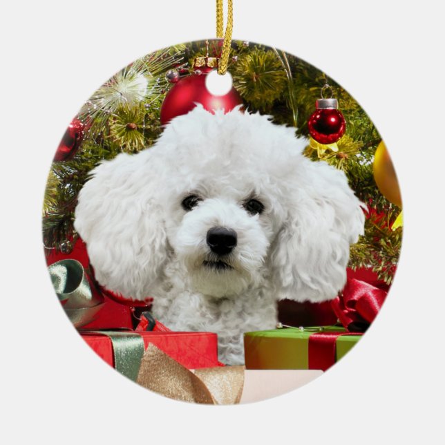 Ornamento De Cerâmica Natal de Poodle Branco (Frente)