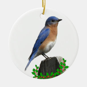 Ornamento De Cerâmica Natal do Bluebird