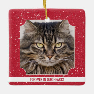 Ornamento De Cerâmica Natal do Memorial Red Snow do Pet Cat