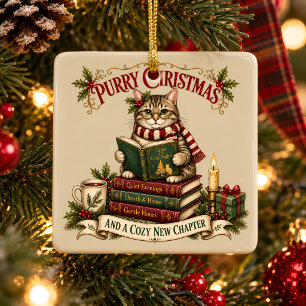 Ornamento De Cerâmica Natal Felino Aconchegante Amante de Livros