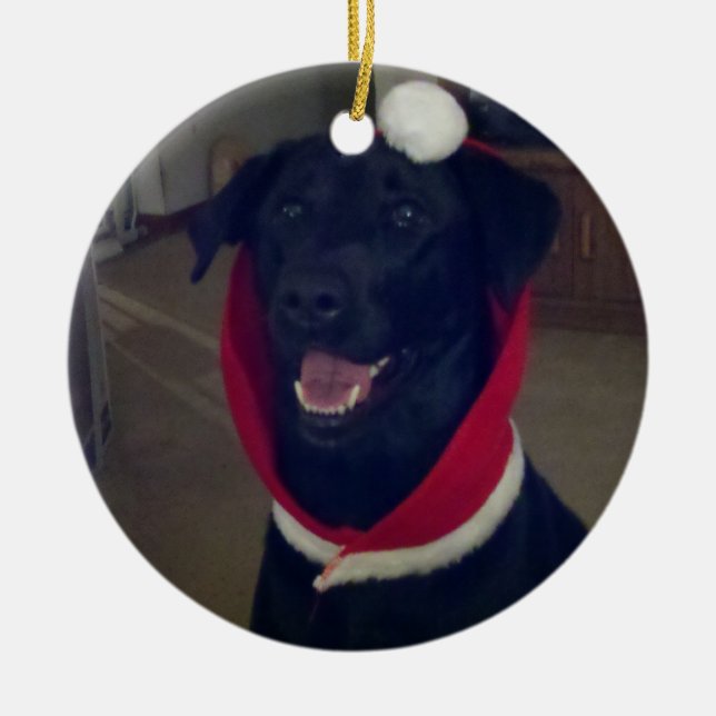 Ornamento De Cerâmica Natal labrador retriever (Frente)