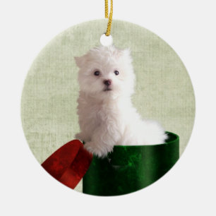 Ornamento De Cerâmica Natal maltês do filhote de cachorro