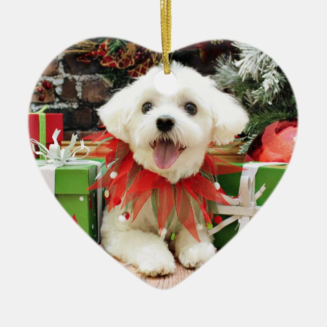 Ornamento De Cerâmica Natal - maltês - Miley (Frente)