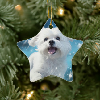 Ornamento De Cerâmica Natal Maltês Único, Presente Para Povoados De Cão