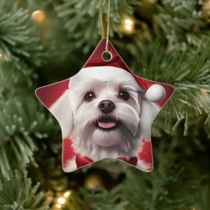 Ornamento De Cerâmica Natal Maltês Único, Presente Para Povoados De Cão