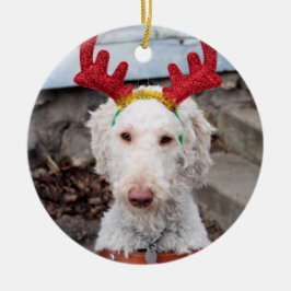 Ornamento De Cerâmica Natal Ollie