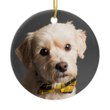 Natal personalizado do DIY