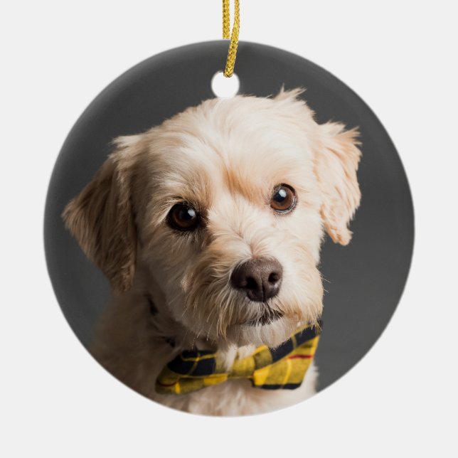 Ornamento De Cerâmica Natal personalizado do DIY (Frente)