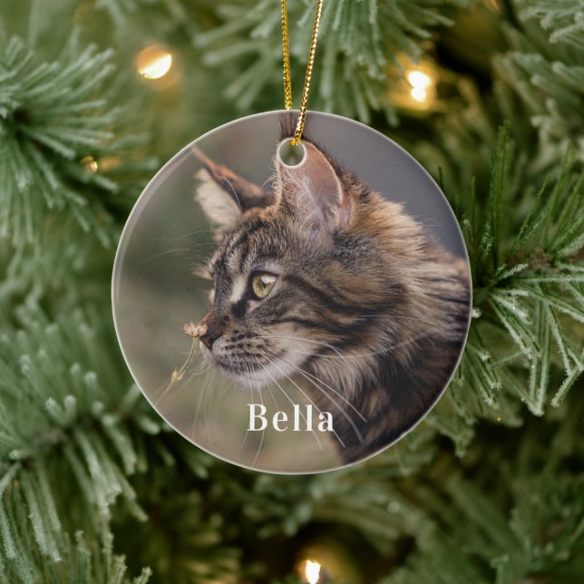 Ornamento De Cerâmica Natal personalizado para gatos de estimação (Árvore)