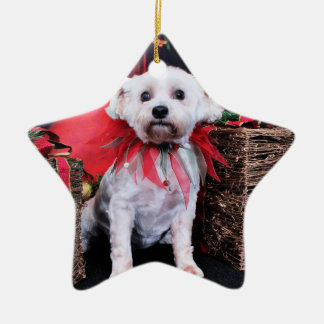 Ornamento De Cerâmica Natal - Schnoodle - Zoey