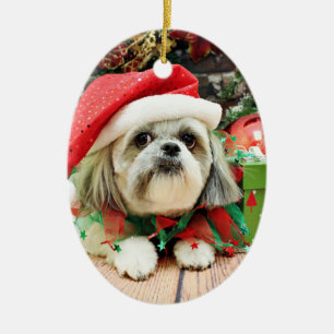 Ornamento De Cerâmica Natal - Shih Tzu - aparelho