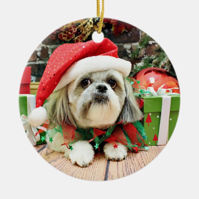 Ornamento De Cerâmica Natal - Shih Tzu - aparelho (Frente)