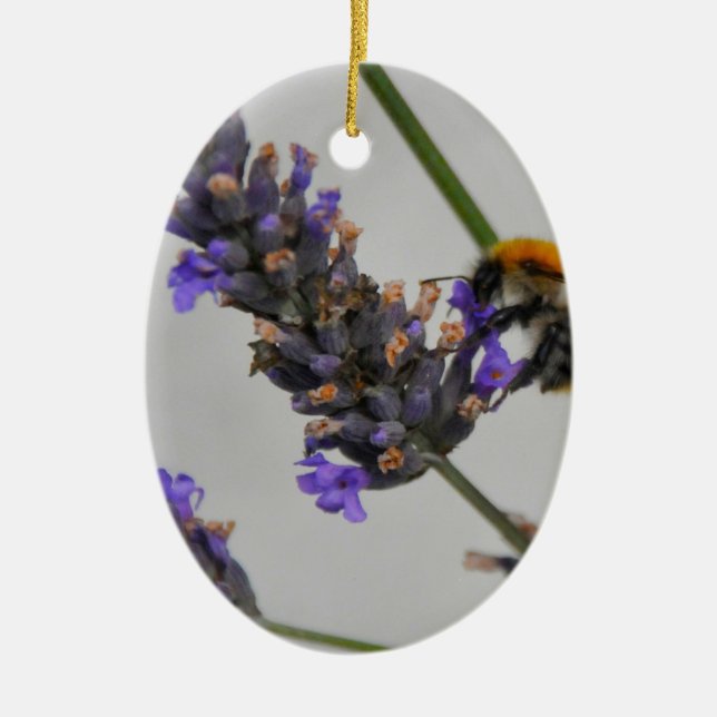 Ornamento De Cerâmica Natures WonMaravilha Workers (Frente)