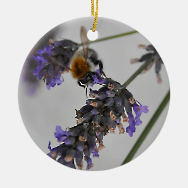 Ornamento De Cerâmica Natures WonMaravilha Workers (Frente)