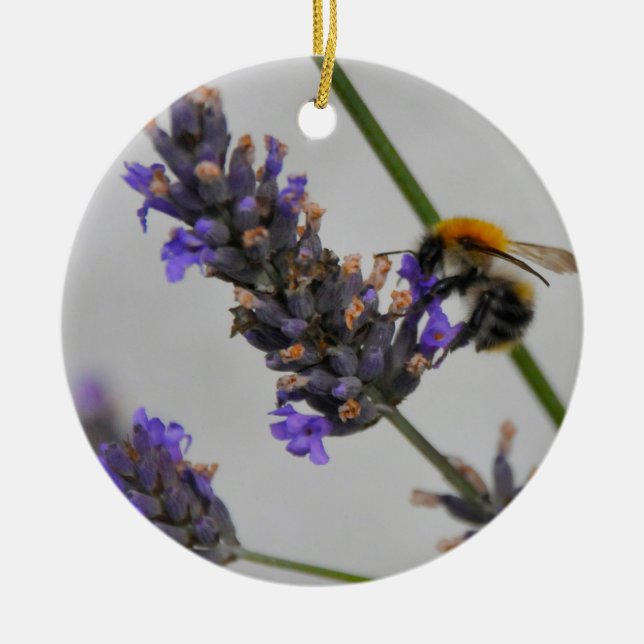 Ornamento De Cerâmica Natures WonMaravilha Workers (Frente)