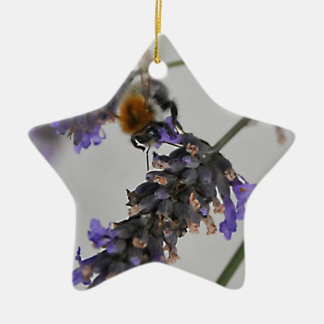 Ornamento De Cerâmica Natures WonMaravilha Workers (Frente)