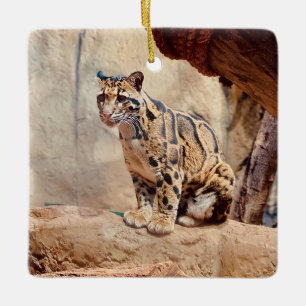Ornamento De Cerâmica natureza da imagem de leopardo nublada
