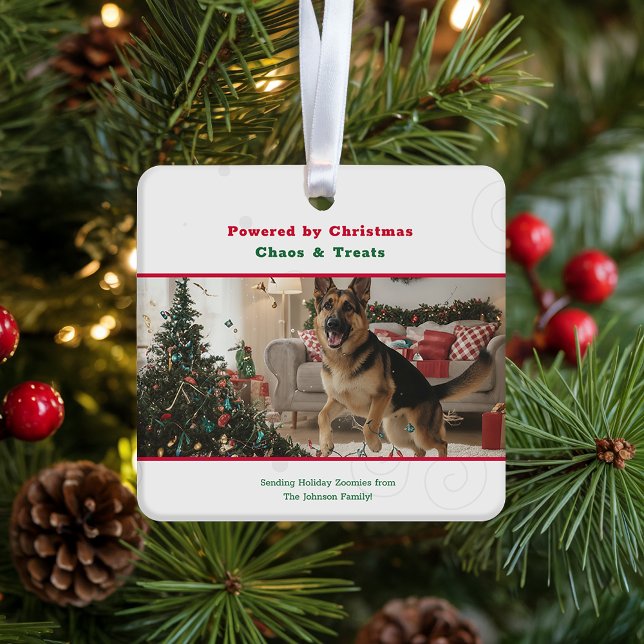 Ornamento De Cerâmica Naughty Funny Dog Pet Photo Christmas Holiday (Criador carregado)