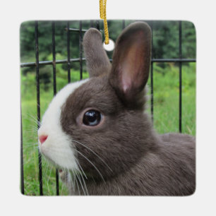 Ornamento De Cerâmica Neitherland Dwarf Pet Bunny Rabbit