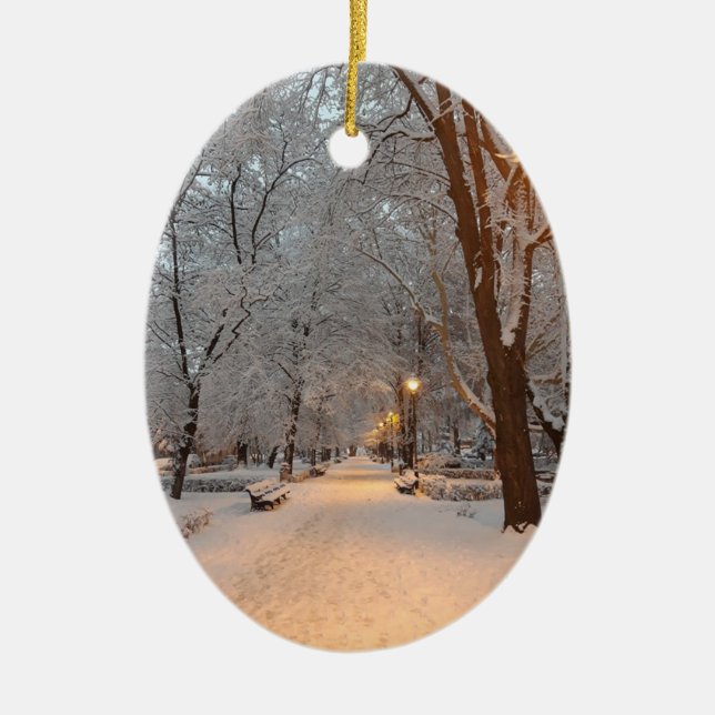 Ornamento De Cerâmica Neve em Park Sibiu (Frente)