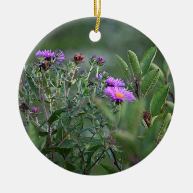 Ornamento De Cerâmica New England Aster Flower Ornament (Frente)