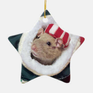 Ornamento De Cerâmica NEW! Pet Rat Coco Ornament