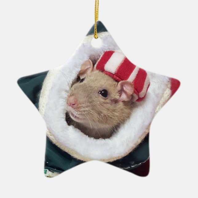 Ornamento De Cerâmica NEW!  Pet Rat Coco Ornament (Frente)