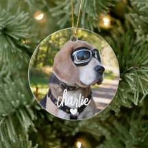 Nome de Cachorro Personalizado Foto de Animal de E