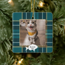 Nome de Gato Xadrez Tartan Verde Festivo Natal