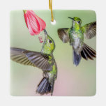 Ornamento De Cerâmica Nome do Casal Hummingbird Voando Juntos<br><div class="desc">Ornamento com dois beija-flores brilhantes e verdes voando juntos e compartilhando uma flor vermelha em uma floresta em nuvem da Costa Rica. Esse ornamento pode ser facilmente personalizado com nomes e texto, criando um presente que casais românticos, beija-flor, natureza e amantes de jardim vão desfrutar por anos. Foto tirada na...</div>