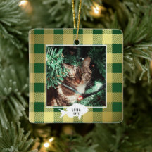 Nome do Gato Xadrez Dourado Festivo Natal