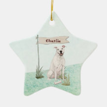 Nome Personalizado Americano Staffordshire Terrier