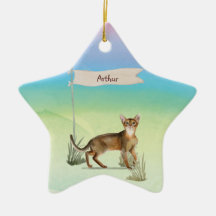 Nome Personalizado Pet de Cat Abyssinian