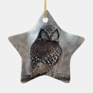 Ornamento De Cerâmica Norte Hawk Owl