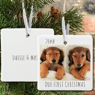 Ornamento De Cerâmica Nossa Primeira Foto de Natal de Cachorrinhos Paisa