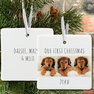 Ornamento De Cerâmica Nossa Primeira Foto Panorâmica De Cães De Natal