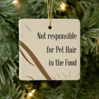 Ornamento De Cerâmica Not Responsible for Pet Hair in the Food  