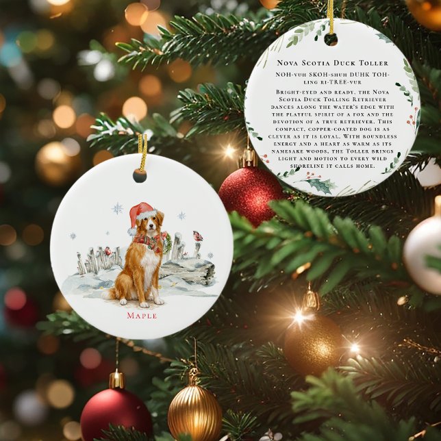 Ornamento De Cerâmica Nova Scotia Duck Toller Dog Monogram (Criador carregado)
