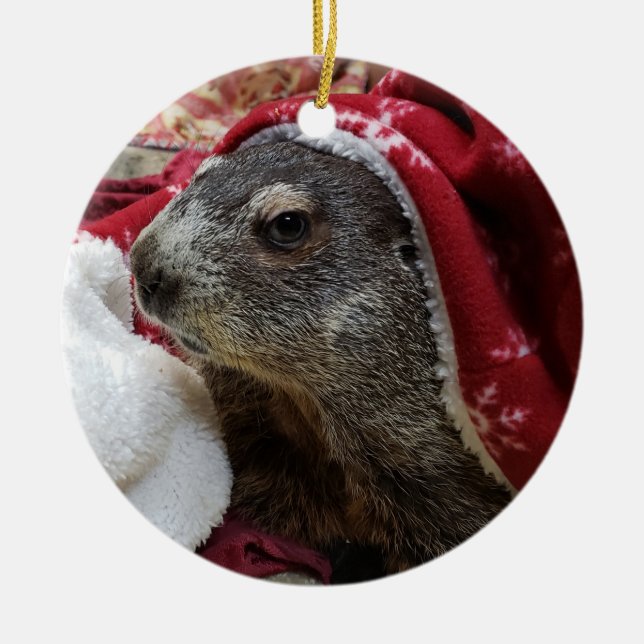 Ornamento De Cerâmica NOVO!  Groundhog Carrie Christmas Ornamant 2 (Frente)