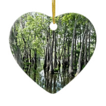 O Bayou