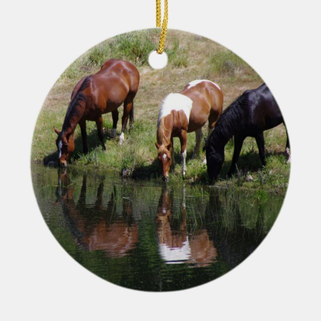 Ornamento De Cerâmica O Buraco de Água (Frente)