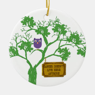 Ornamento De Cerâmica O cancer não vive aqui coruja da árvore