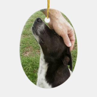 Ornamento De Cerâmica O cão é o melhor amigo de um homem!
