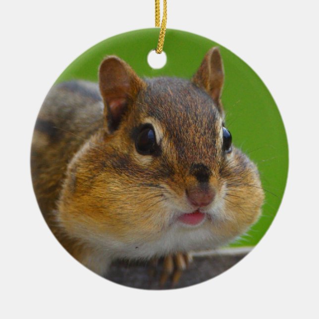 Ornamento De Cerâmica o chipmunk está completo (Frente)