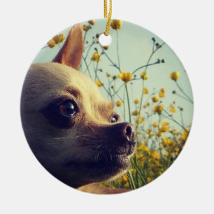 Ornamento De Cerâmica O dobro personalizado da chihuahua tomou partido