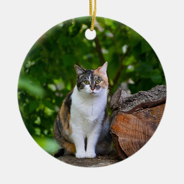 Ornamento De Cerâmica O Gato     (Frente)