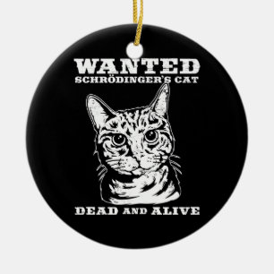 Ornamento De Cerâmica O gato de Schrodinger quis inoperante ou vivo