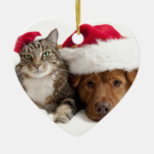 Ornamento De Cerâmica O gato e o cão desejam o Feliz Natal